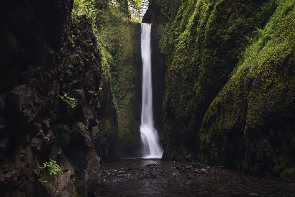 Pacific Northwest
