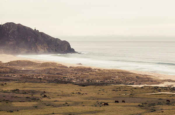 Big Sur