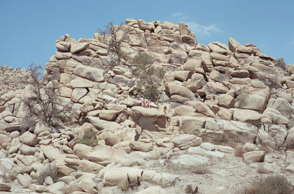Joshua Tree