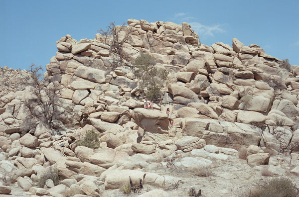 Joshua Tree