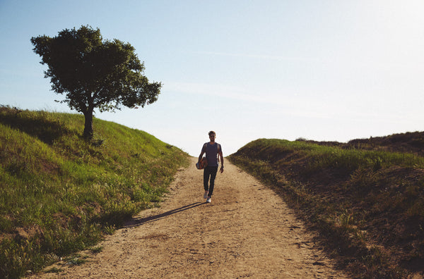Topanga Canyon