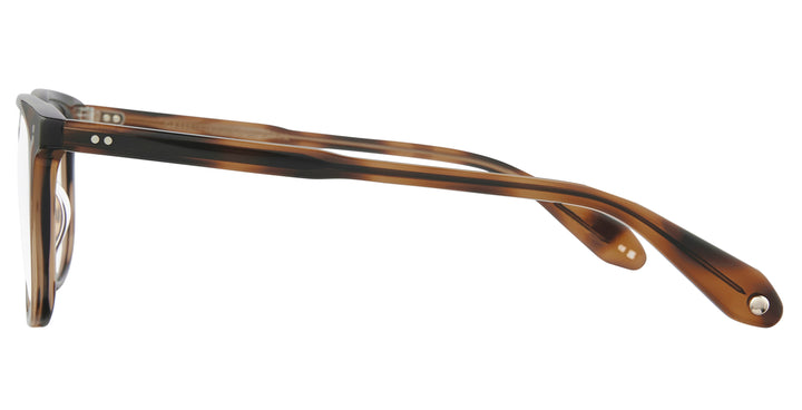 Spotted Brown Shell