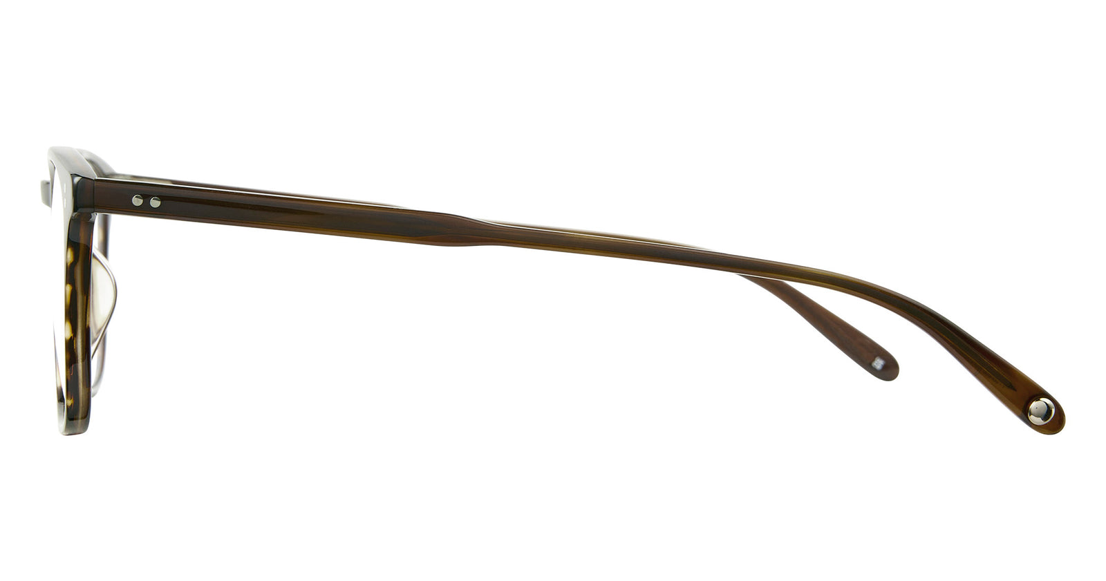Brandy Tortoise