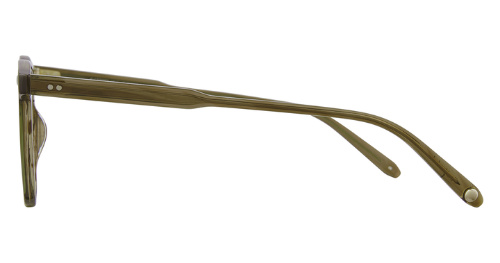Olive Tortoise