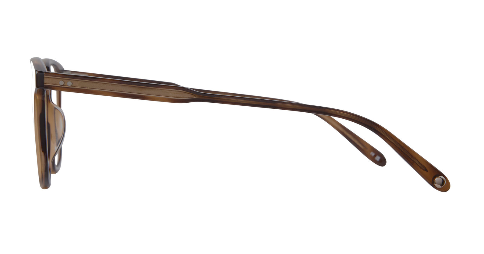 Spotted Brown Shell