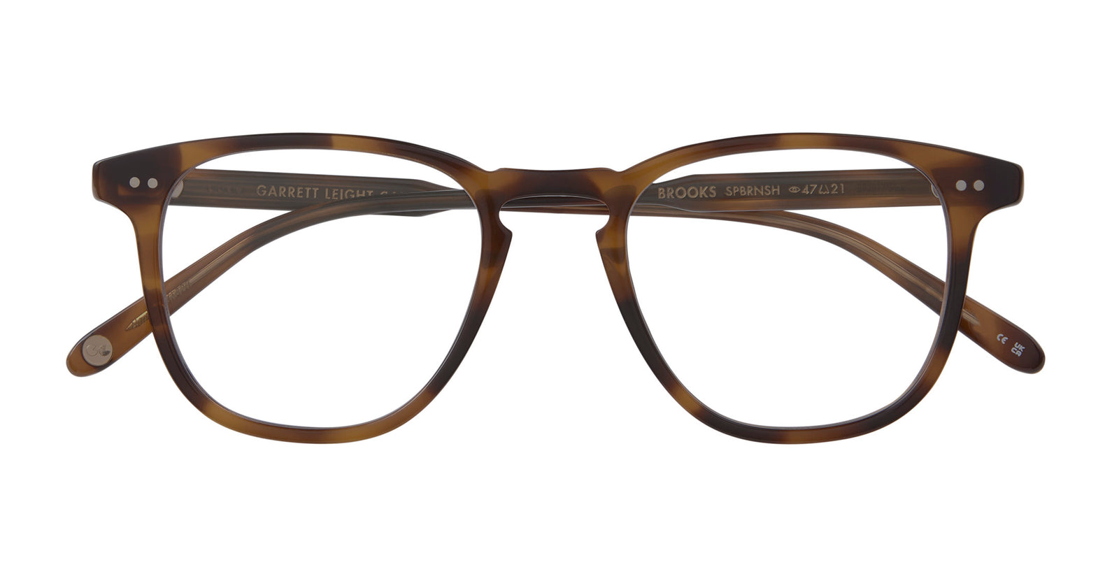 Spotted Brown Shell