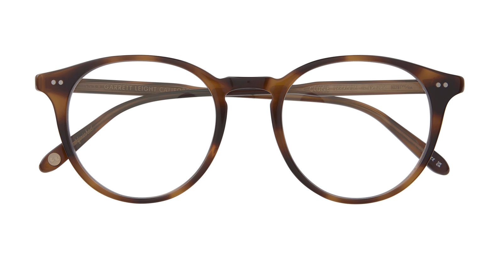 Spotted Brown Shell