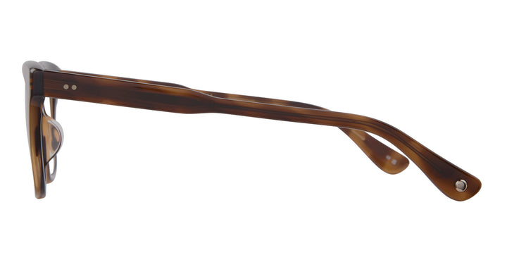 Spotted Brown Shell