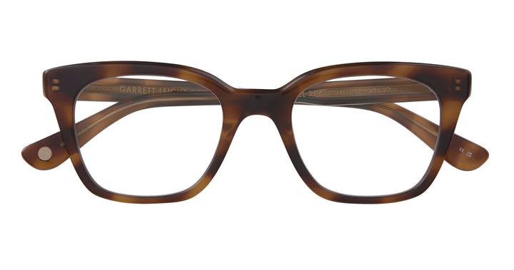 Spotted Brown Shell