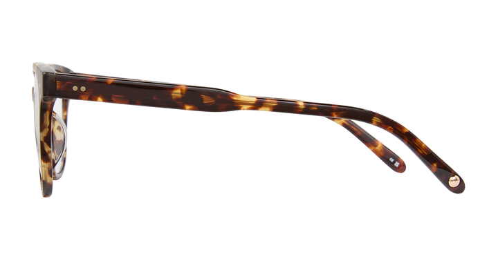 Agate Tortoise