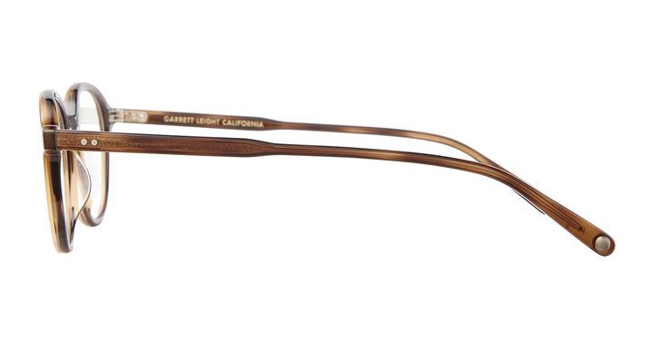 Spotted Brown Shell
