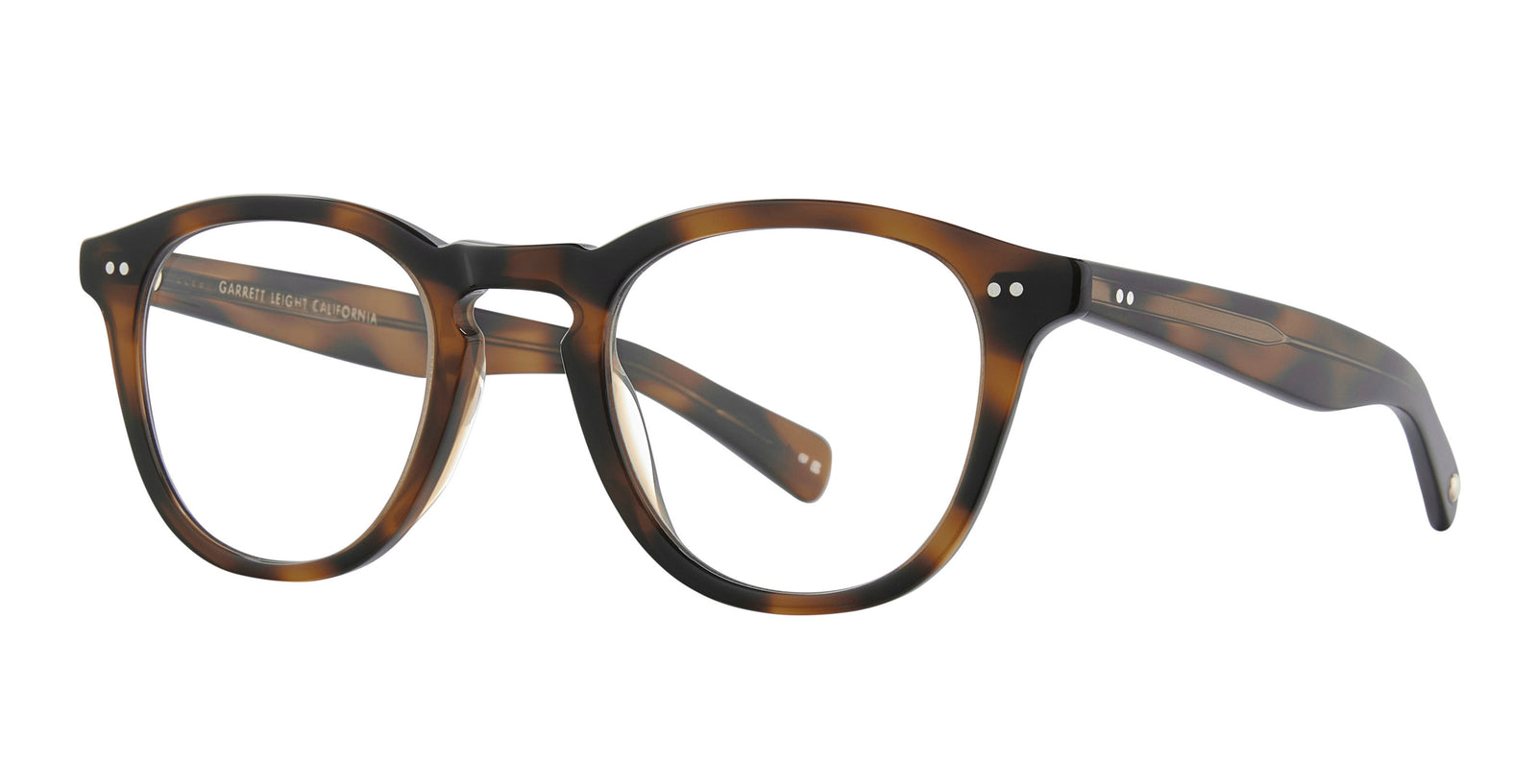 Spotted Brown Shell