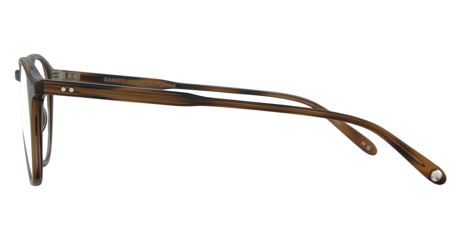 Spotted Brown Shell