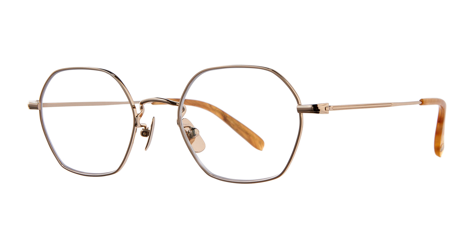 Gold-Agave Tortoise