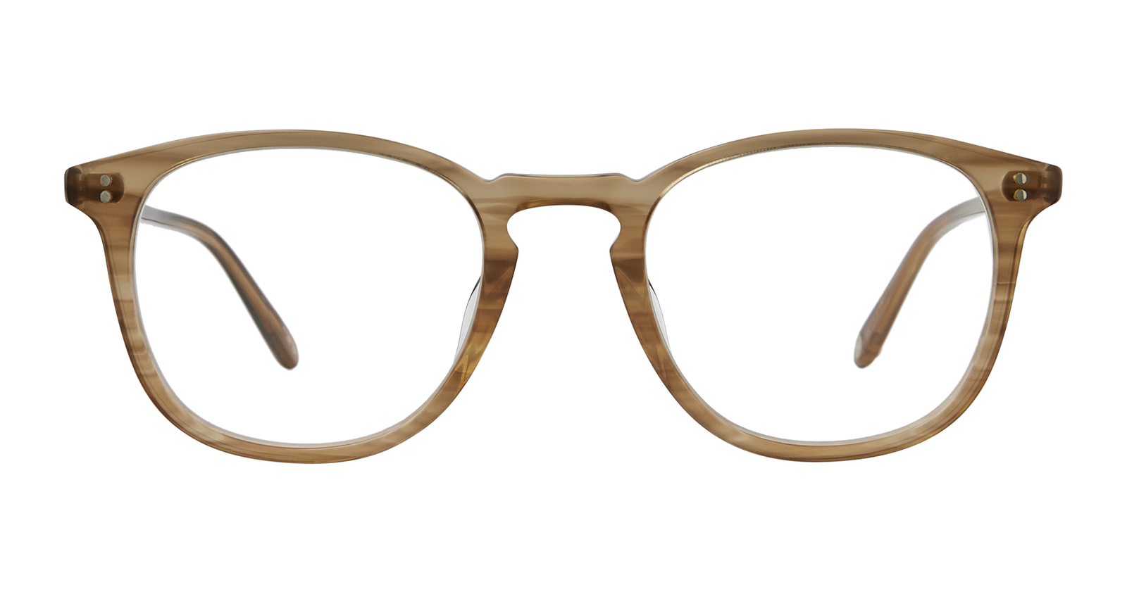 Palisade Tortoise