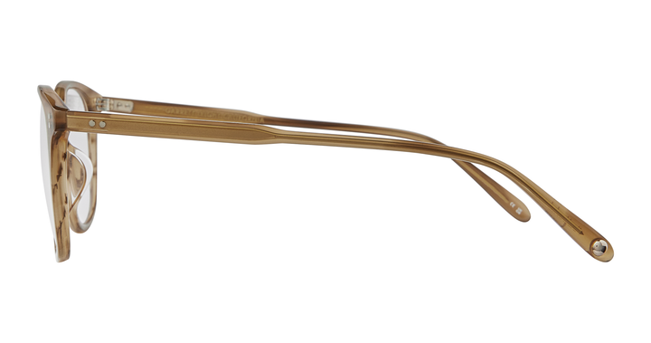 Palisade Tortoise