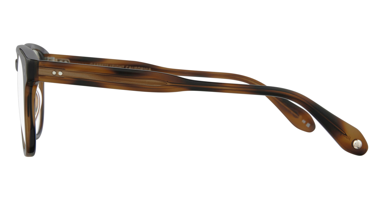 Spotted Brown Shell