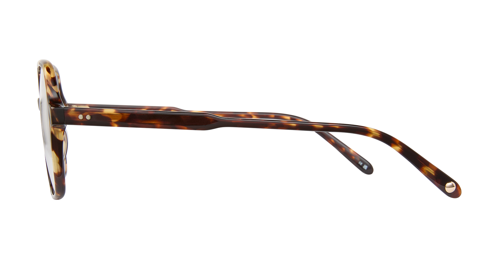 Agate Tortoise